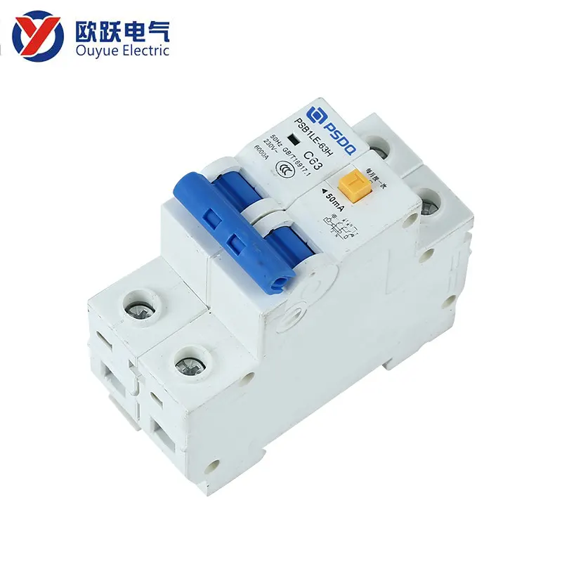 DZ40 2Pole Earth Leakage Circuit Breaker