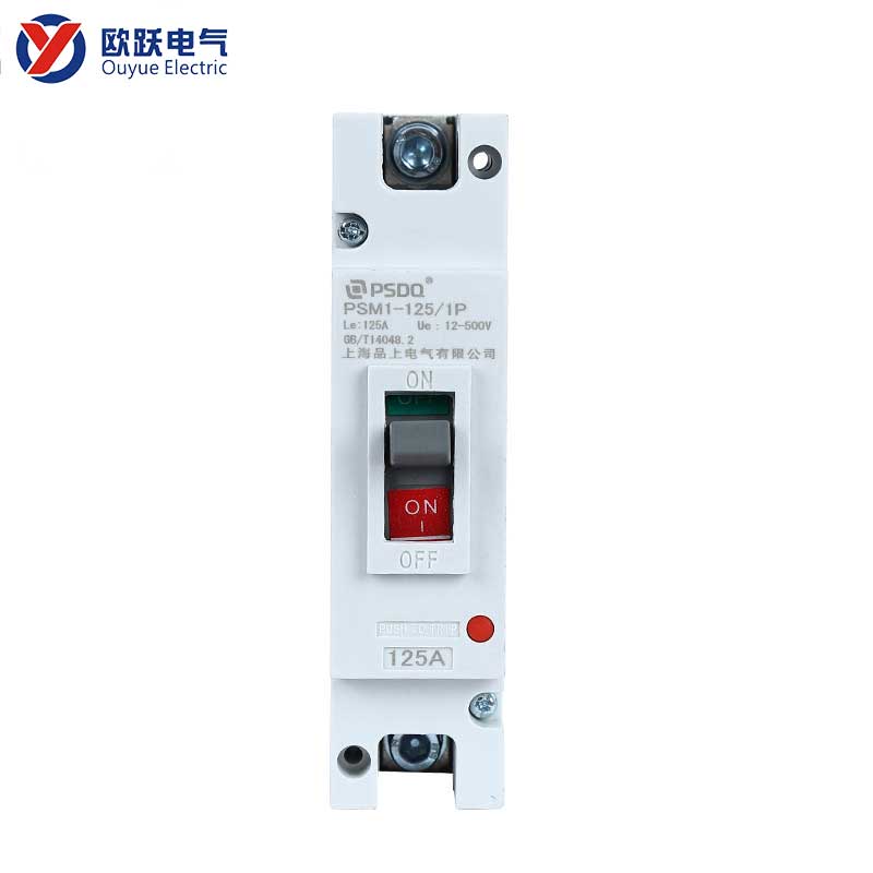 Molded Case Circuit Breaker 125A 1P